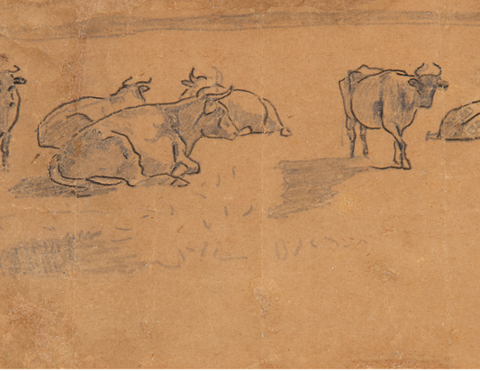 Cows in a Pasture