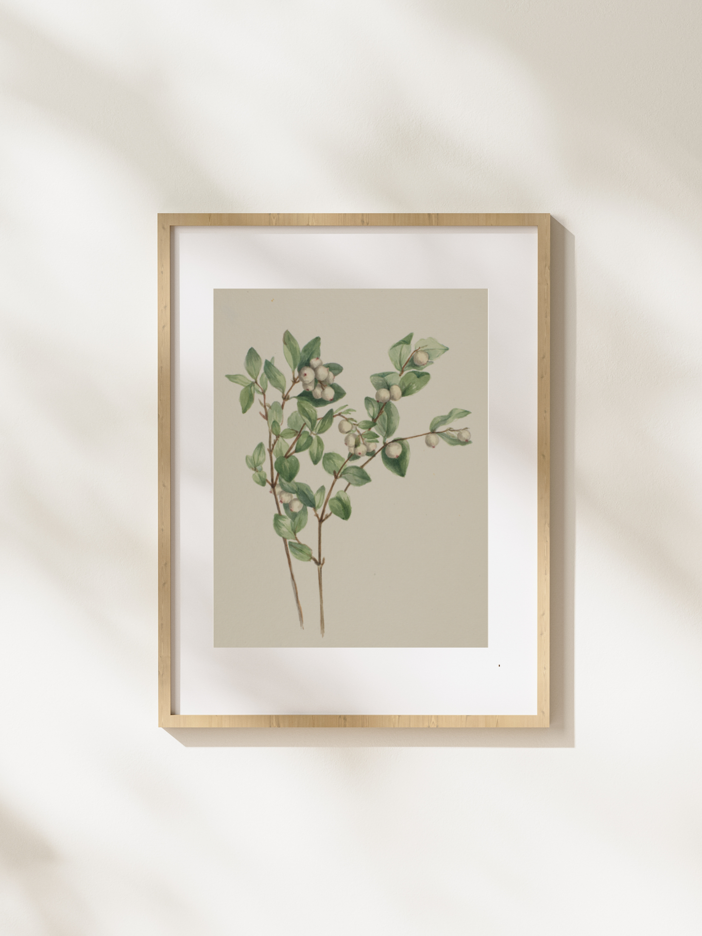 Snowberry